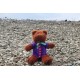 Teddy Bear With Purple T-Shirt