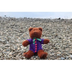 Teddy Bear With Purple T-Shirt