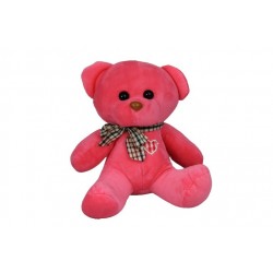 Bear With Ribbon and Heart Plush Toy