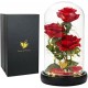 Τριαντάφυλλο Κόκκινο για Πάντα με Φως και Χρυσό-Μαύρο Κουτί με Μαξιλαράκι 30x22 cm Rose Q