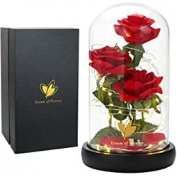 Τριαντάφυλλο Κόκκινο για Πάντα με Φως και Χρυσό-Μαύρο Κουτί με Μαξιλαράκι 30x22 cm Rose Q