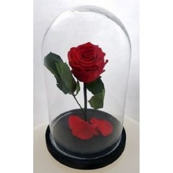 Παντοτινό Τριαντάφυλλο σε Γυάλα