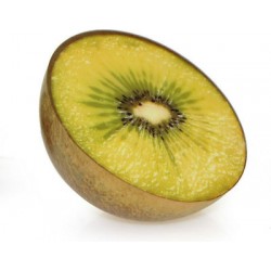 Squishy Half Kiwi ΑΚΤΙΝΙΔΙΟ