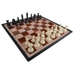 Σκακι Mini Brain Chess Educational Toys